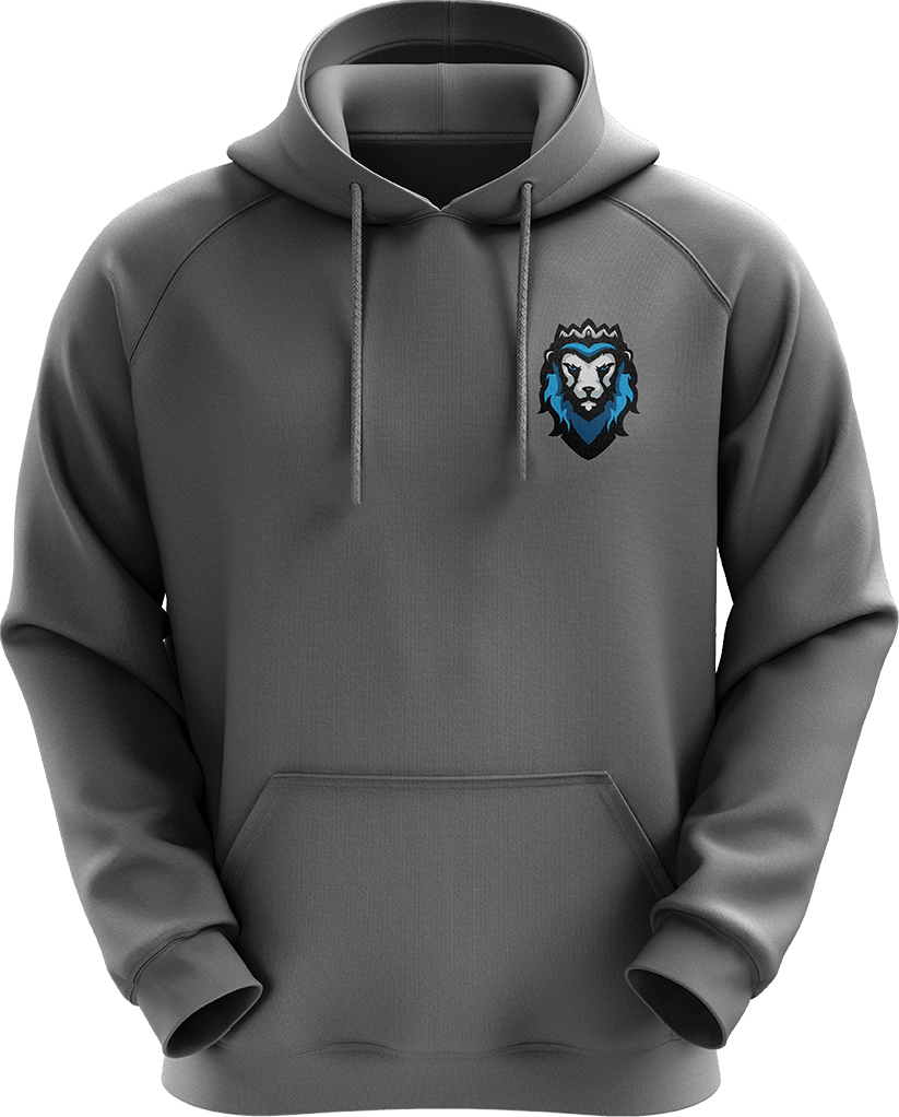 Frost Icon Hoodie - Grey - ARMA - Hoodie