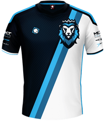 GermanSimRacing Pro Jersey