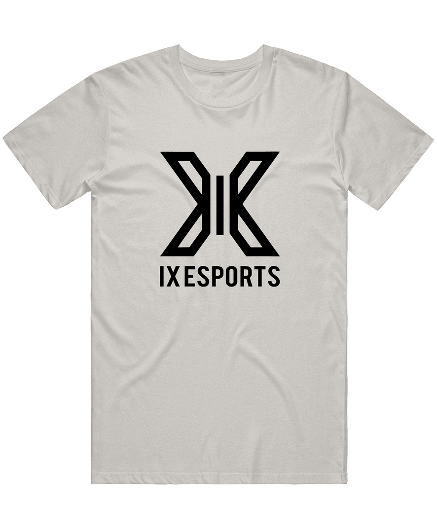 IX Esports Logo Tee - Grey - ARMA - T-Shirt