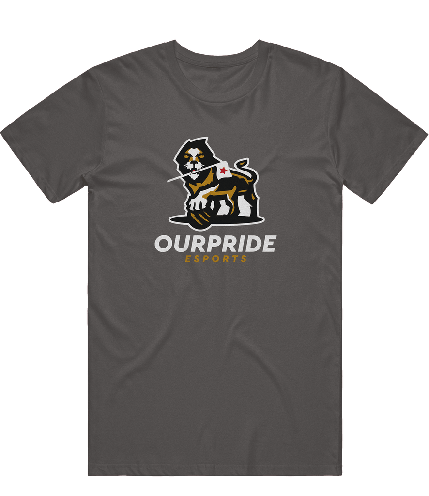 OurPride Logo Tee - Charcoal - ARMA - T-Shirt